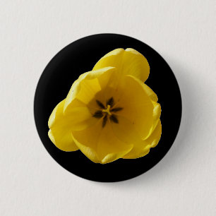 Yellow Tulip Button