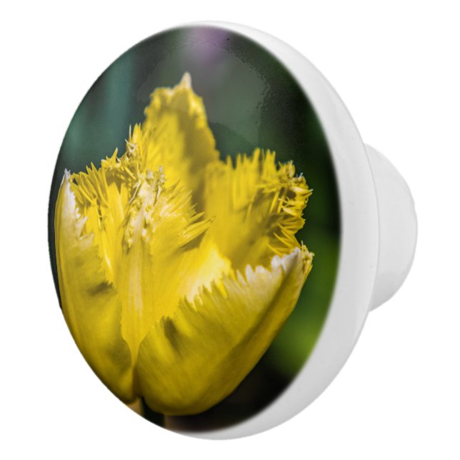 Yellow Tulip Ceramic Knob (Right)