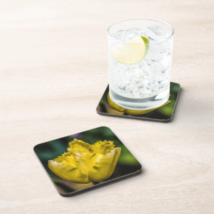 Yellow Tulip Coaster