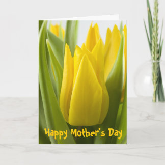 Yellow tulip flower ... card