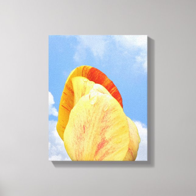 Yellow Tulip Flower On Blue Sky  Canvas Print (Front)