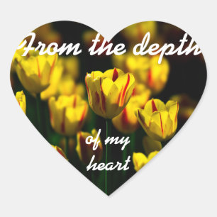 Yellow tulip flowers heart sticker