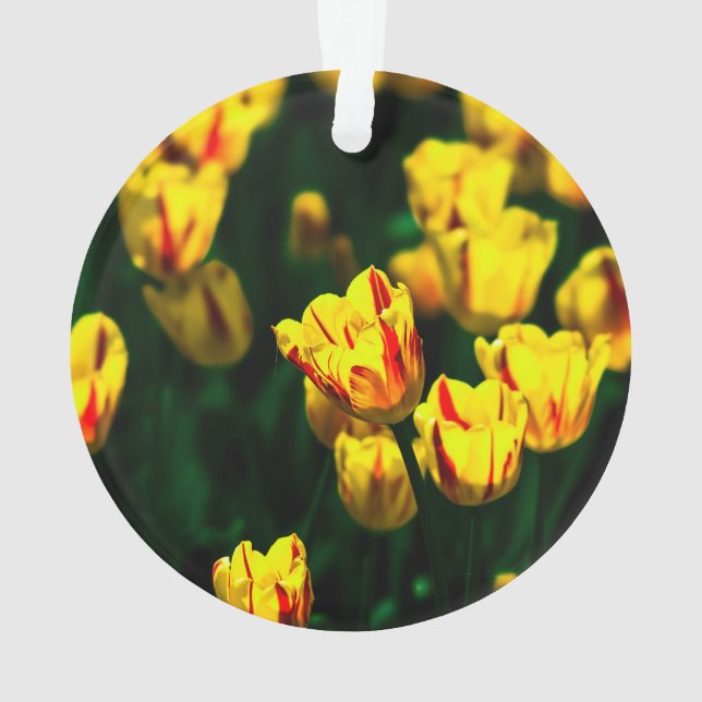 Yellow tulip flowers ornament (Back)
