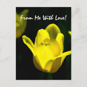 Yellow Tulip - From Me With Love Postcard