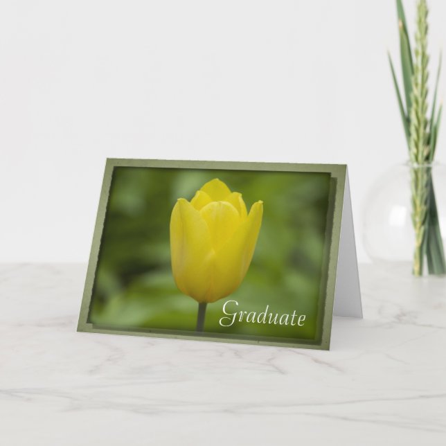 Yellow Tulip Graduation Congratulations Card (Front)