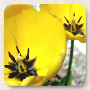 Yellow Tulip Hard Plastic Coasters