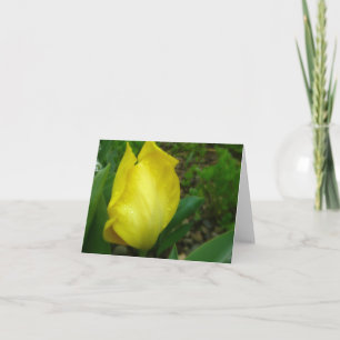 Yellow Tulip in Spring Rain Note Card