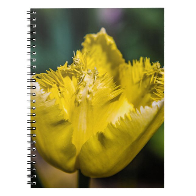 Yellow Tulip Notebook (Front)
