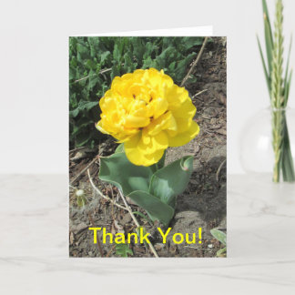 Yellow Tulip Thank You Card