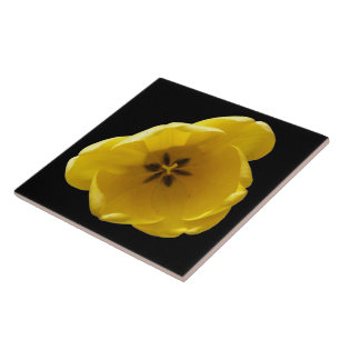 Yellow Tulip Tile