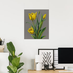 Yellow Tulip Watercolor Flower  Poster