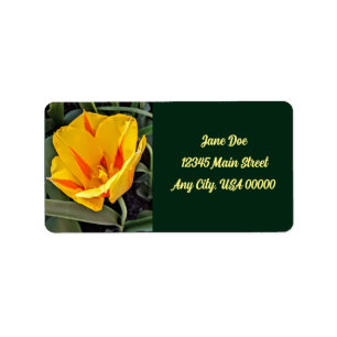 Yellow tulip with green background label