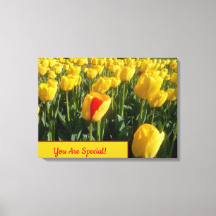 Yellow Tulips Canvas Print