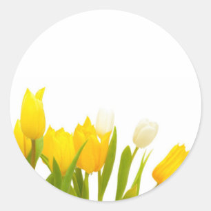 Yellow tulips classic round sticker