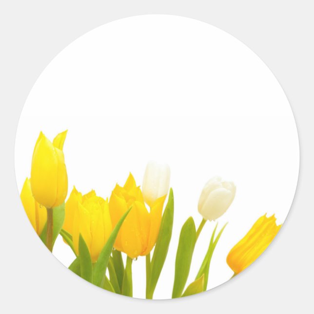 Yellow tulips classic round sticker (Front)