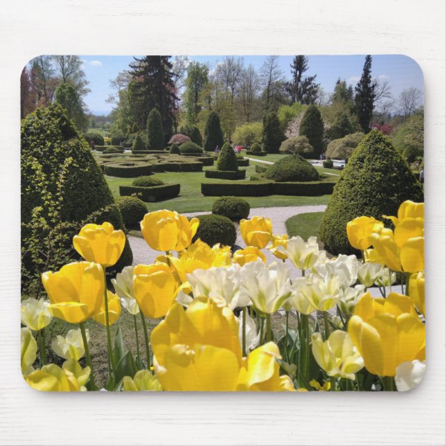 Yellow Tulips from Arboretum Volcji Potok Slovenia Mouse Mat (Front)