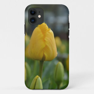 Yellow Tulips in the field iPhone 11 Case