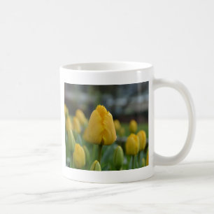 Yellow Tulips in the field Coffee Mug