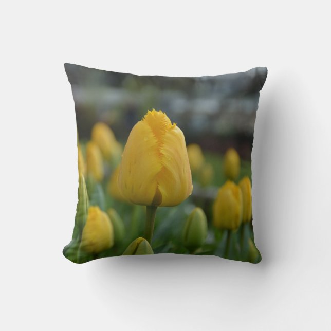 Yellow Tulips in the field Throw Pillow (Front)