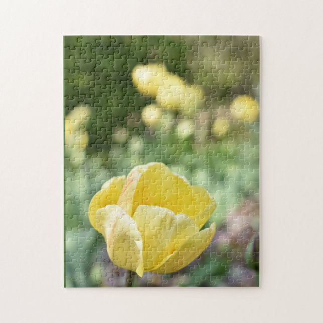 Yellow Tulips Regent's Park Flowers London England Jigsaw Puzzle (Vertical)