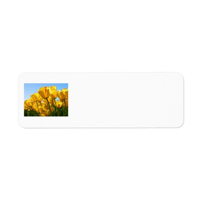 Yellow Tulips Return Address Labels (Front)