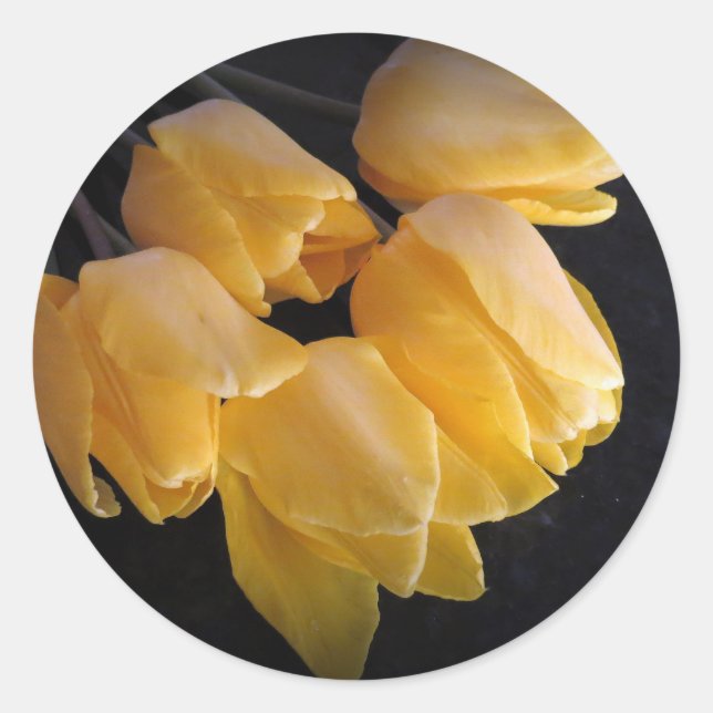 "Yellow Tulips With A Dark Background" Classic Round Sticker (Front)