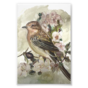 Yellow Wagtail Garden bird watercolour print
