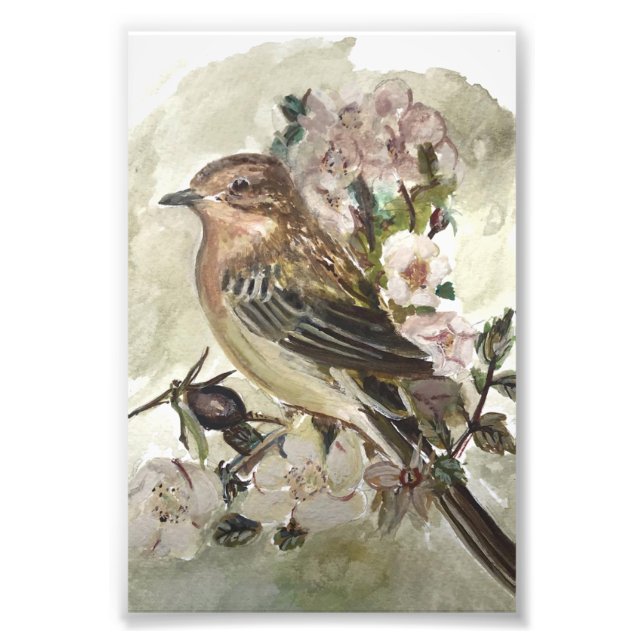 Yellow Wagtail Garden bird watercolour print (Front)