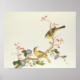 Yellow Wagtail with blue head Poster