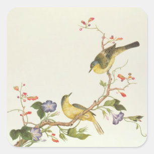 Yellow Wagtail with blue head Square Sticker