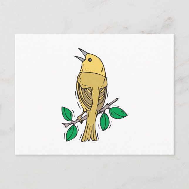 yellow warbler bird postcard (Front)