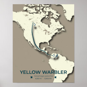 Yellow Warbler Migration Map – Minimalist Vintage Poster