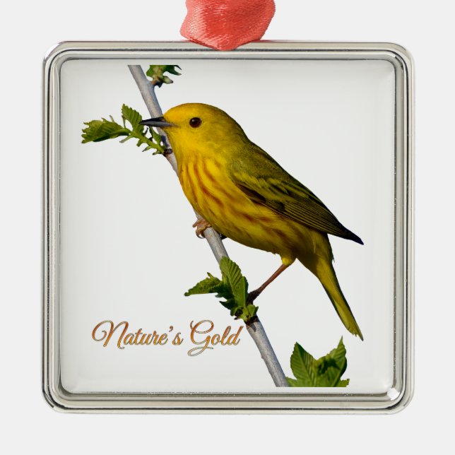 Yellow Warbler “Nature’s Gold” Christmas Ornament  (Front)