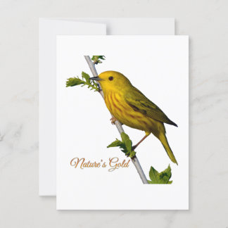 Yellow Warbler “Nature’s Gold” Printed Art Card