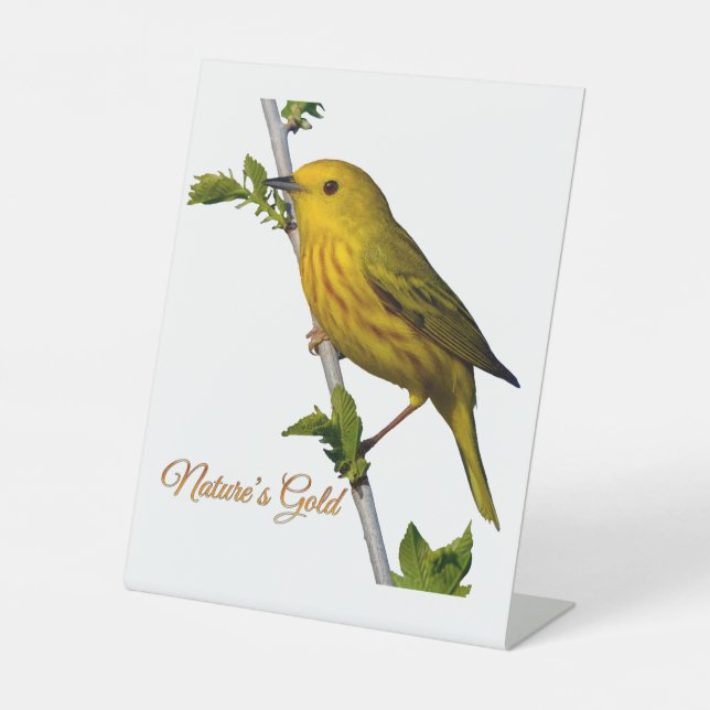 Yellow Warbler “Nature’s Gold” Printed Art Card Pedestal Sign (Front)