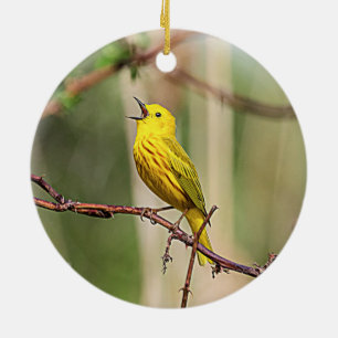 Yellow Warbler Singing Ceramic Tree Decoration
