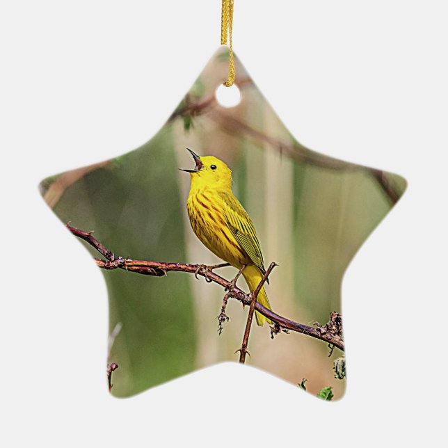 Yellow Warbler Singing Ceramic Tree Decoration (Back)