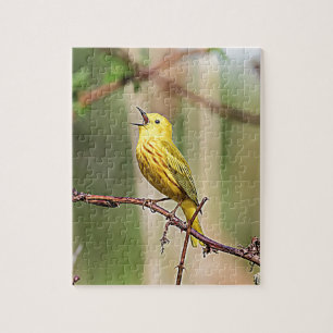 Yellow Warbler Singing Jigsaw Puzzle