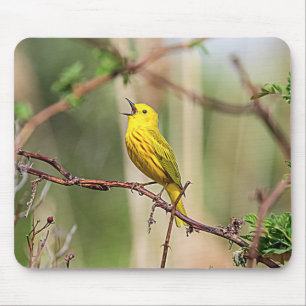 Yellow Warbler Singing Mouse Mat