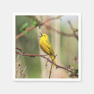 Yellow Warbler Singing Napkin