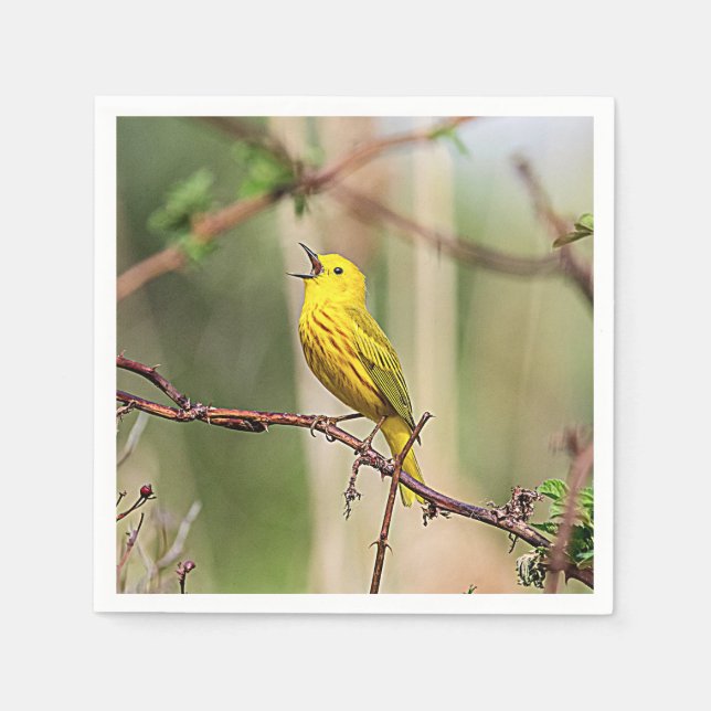 Yellow Warbler Singing Napkin (Front)