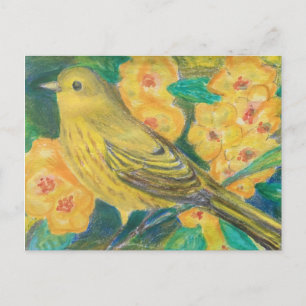 Yellow Warbler Yellow Roses Garden Watercolor Postcard