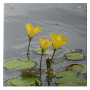 Yellow Water Lilies Ceramic Tile
