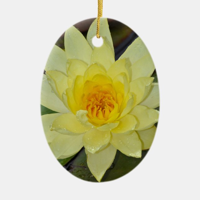 Yellow water lily flower ceramic tree decoration (Front)