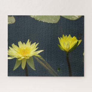 Yellow Waterlilies Dragonfly Jigsaw Puzzle