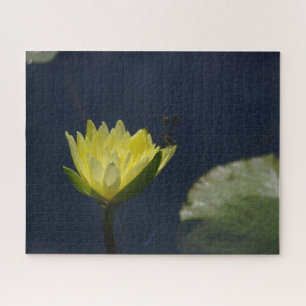Yellow Waterlily Dragonfly Jigsaw Puzzle