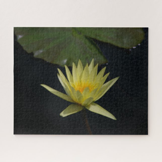 Yellow Waterlily Jigsaw Puzzle (Horizontal)