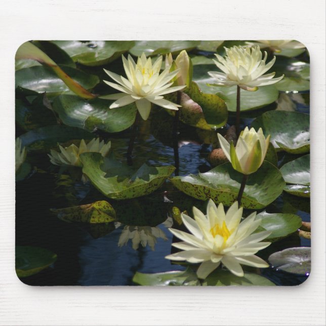Yellow Waterlily Mousepad (Front)