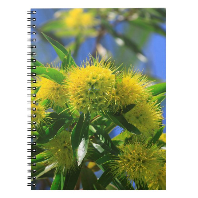 Yellow Wattle Tree Notebook (Front)