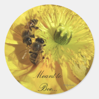 Yellow Wedding Flowers Invitation Seals